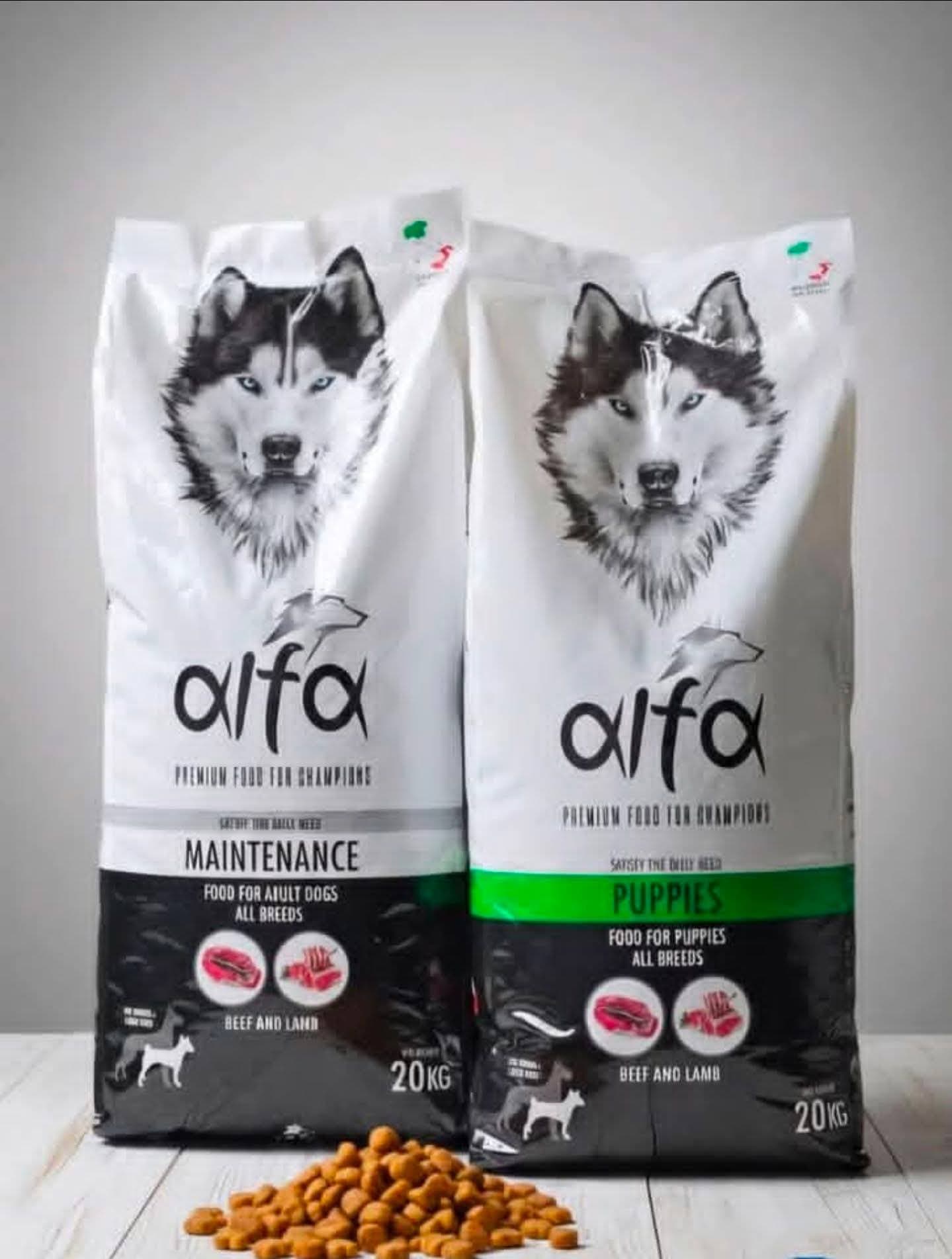 Encarga comida para tus mascotas. Nutrición y bienestar en casa bocado.