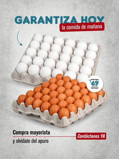 En tiempos donde todo cuesta más, asegurar lo esencial es un alivio.